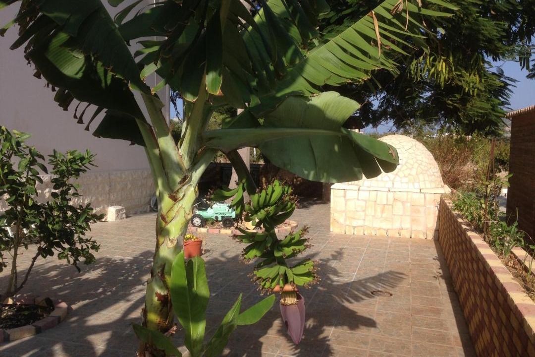 Photo of Others in Ayia Marina Chrysochous