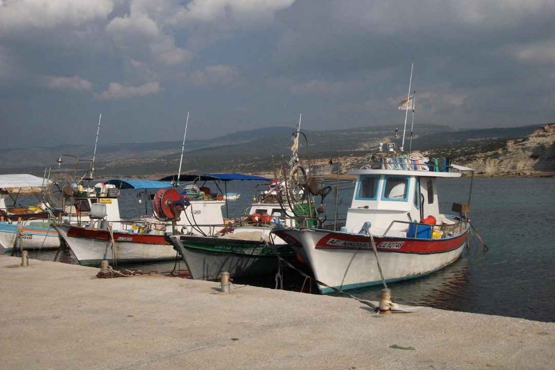 Photo of Others in Peyia Town