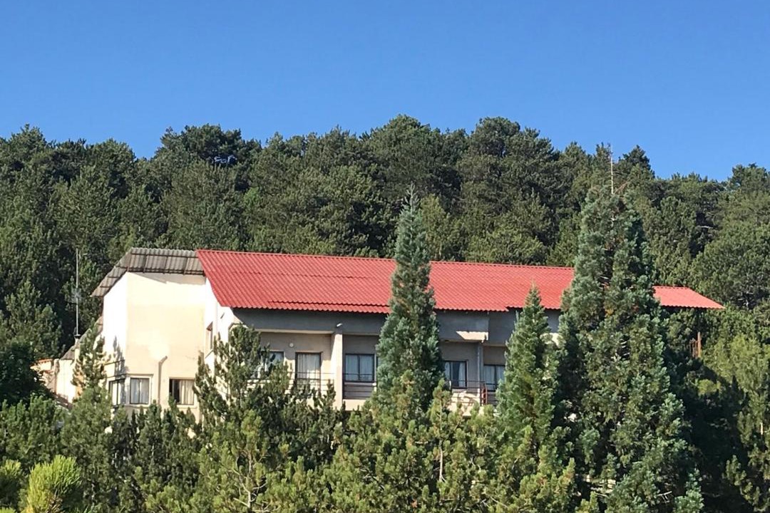 Photo of Others in Pedhoulas