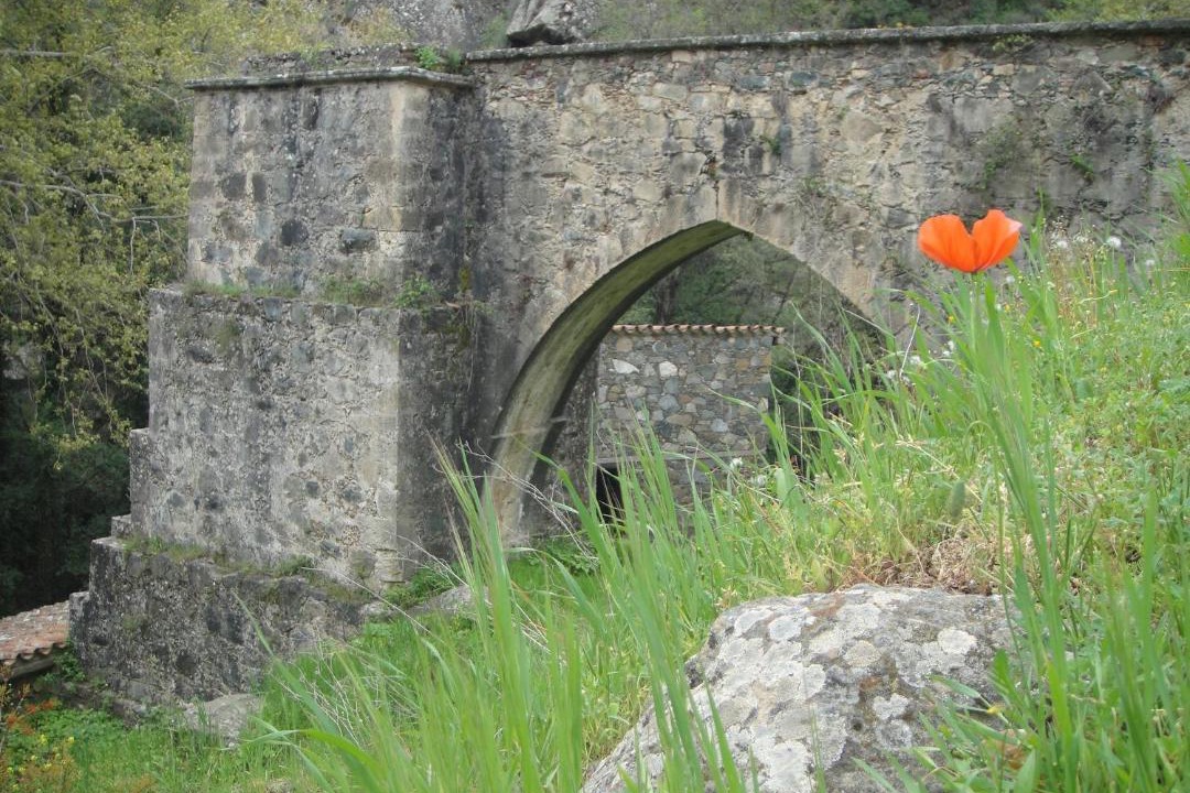Photo of Others in Kalopanayiotis