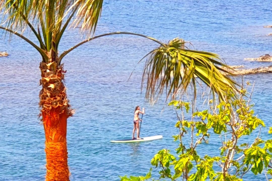Photo of Others in Pomos