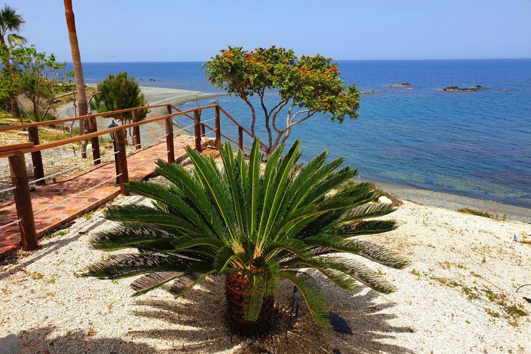 Photo of Others in Pomos