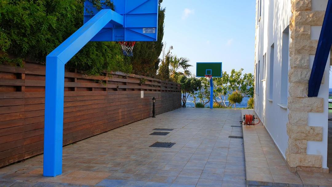 Photo of Others in Pomos