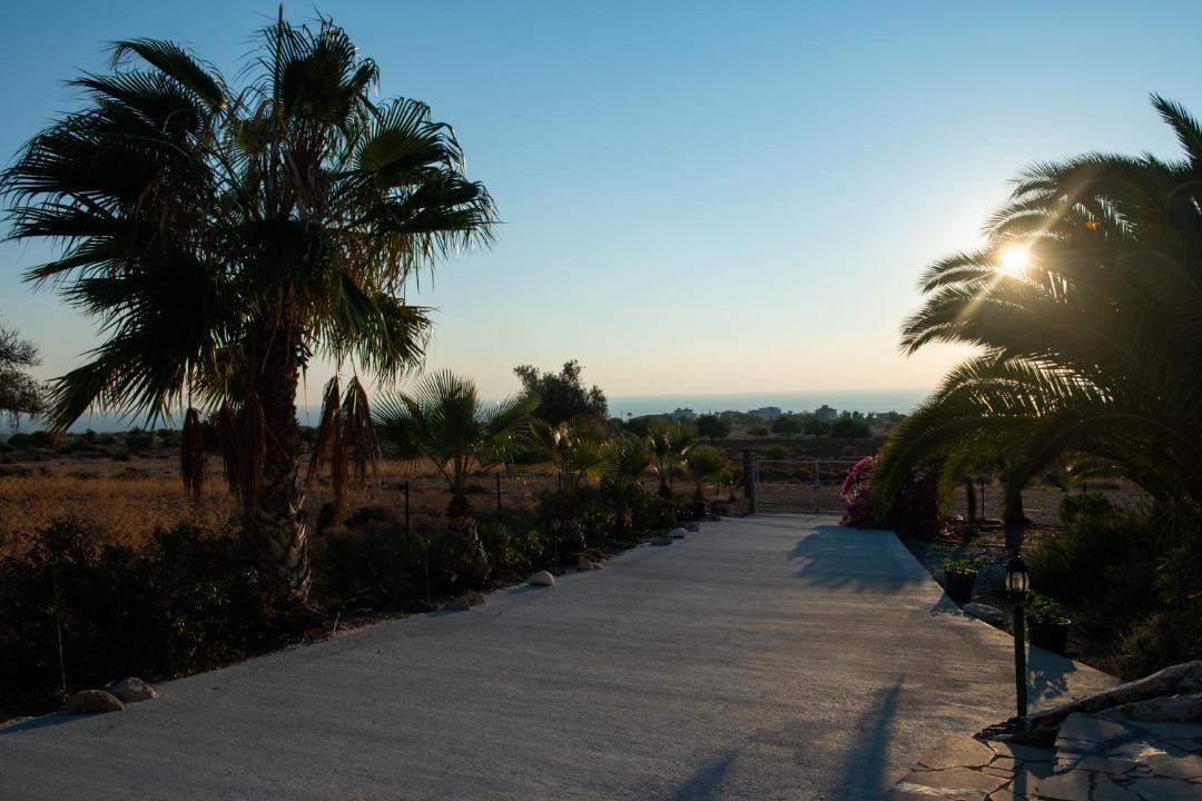 Photo of Others in Pegeia