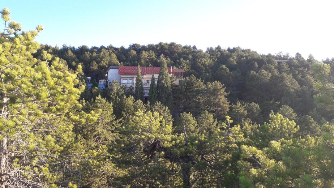 Photo of Others in Pedhoulas