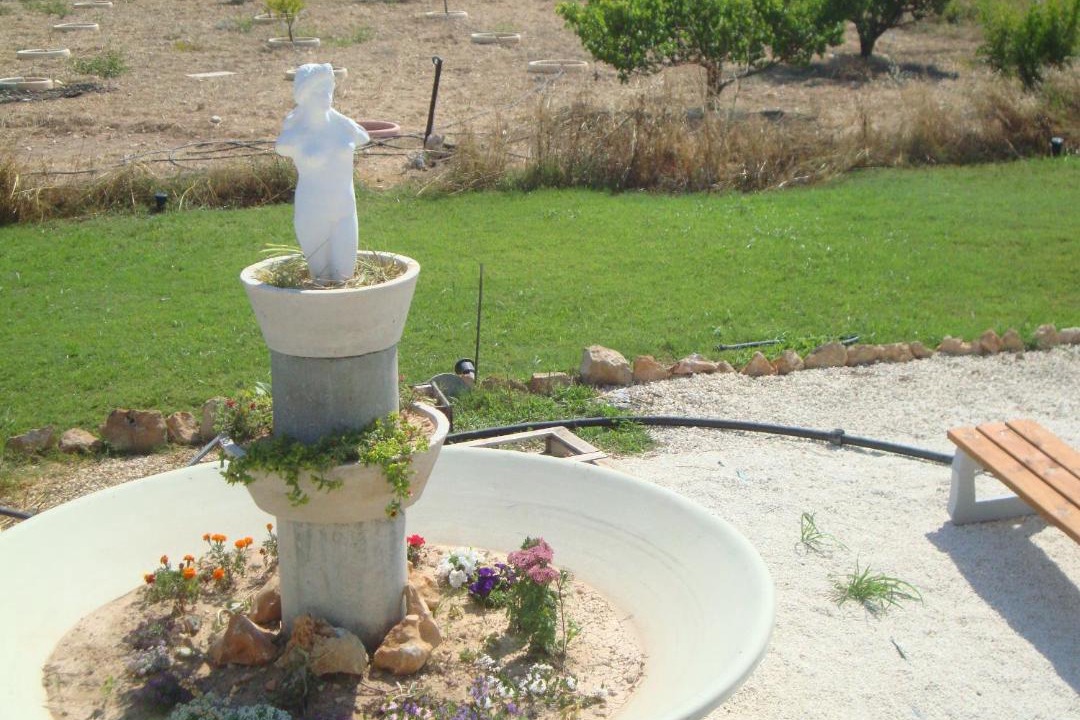 Photo of Others in Pegeia