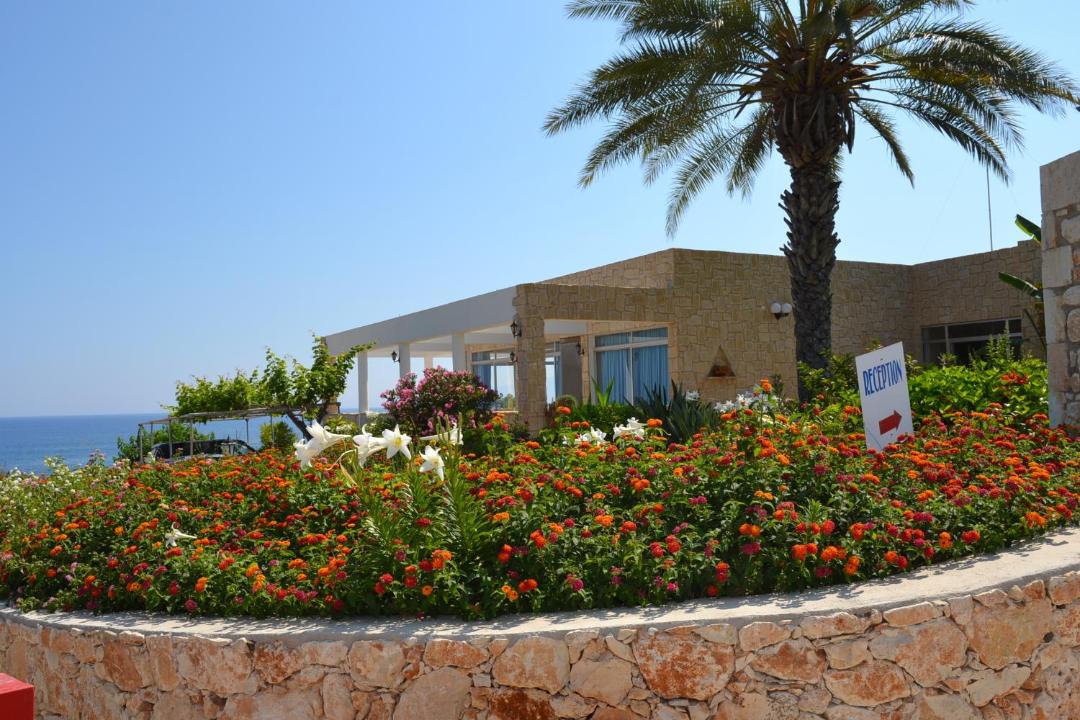 Photo of Others in Neo Chorio