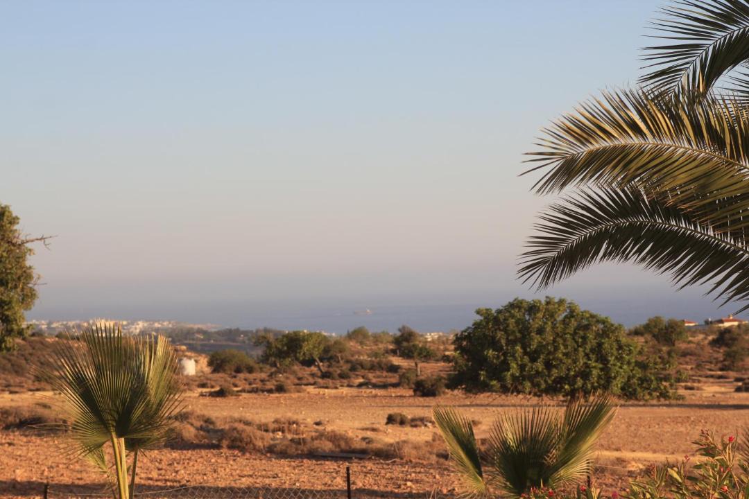Photo of Others in Pegeia