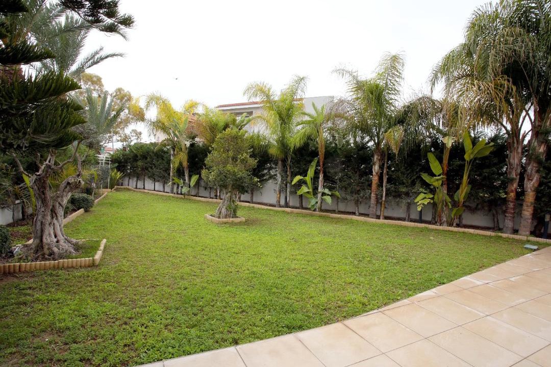 Photo of Others in Larnaca District