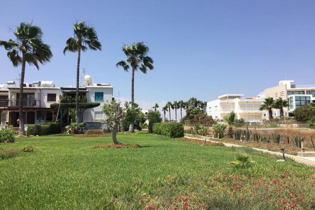 Photo of Others in Pyla