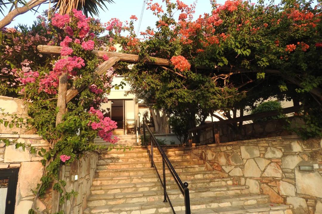 Photo of Others in Pissouri