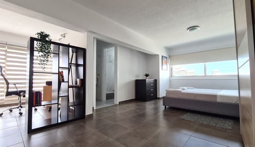 Luxury Apartment