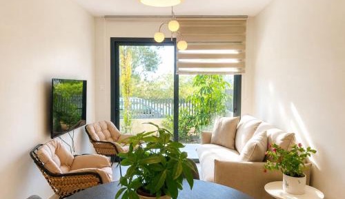 Deluxe One-Bedroom Apartment
