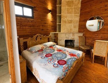 Deluxe One-Bedroom Apartment