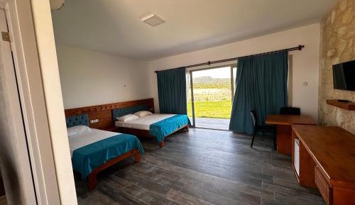 Triple Room with Mountain View