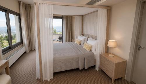 Deluxe King Suite (Honeymoon)