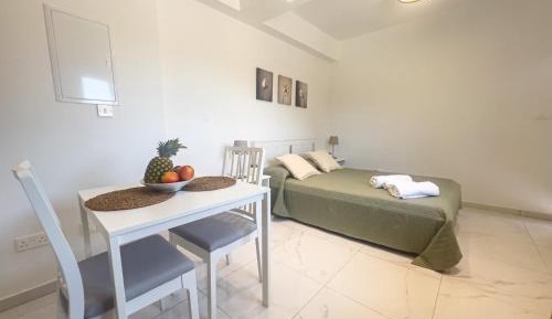 Studio with Terrace