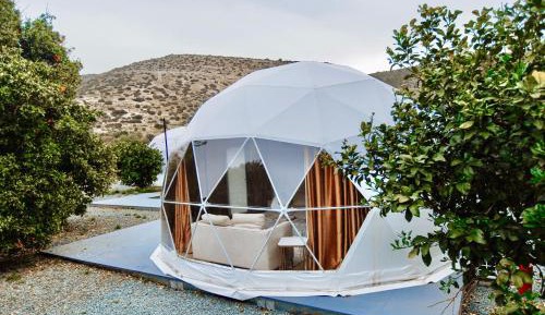 Suite with Garden View