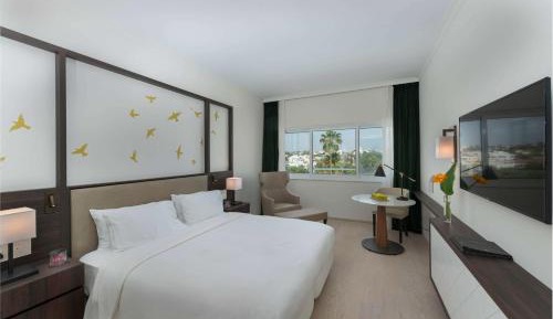 King Guest Room