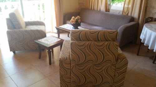 One-Bedroom Apartment (2 - 3 Adults)