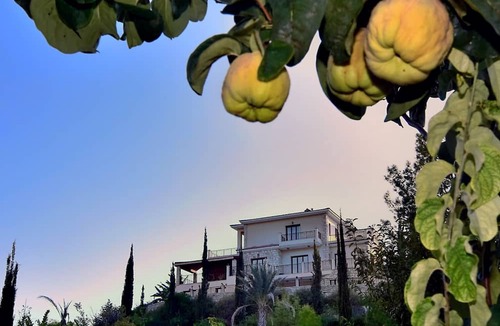Argaka Villa | Amazing Luxury Villa, Enormous Heated Pool Jacuzzi, Gym, Games Room In Paphos,