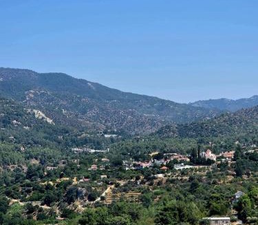 Trimiklini House | Troodos View Garden House - Trimiklini