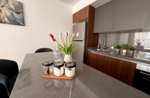 Trikomo Apartment | Grand Sapphire modern 2 Bedroom Apartment with Terrace