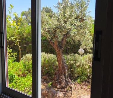 Psevdas Apartment | Greenfield House