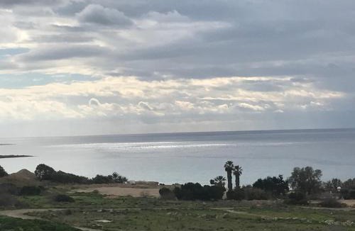 Chlorakas Apartment | Ikaria Village , apartment 202