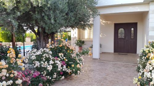 Argaka House | Jaime Villa Cyprus