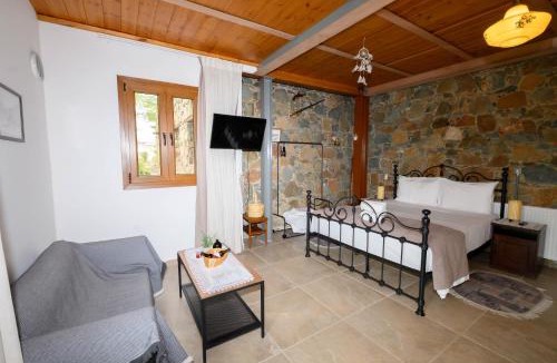 Politiko Ski Chalet | Fikardou Chalets