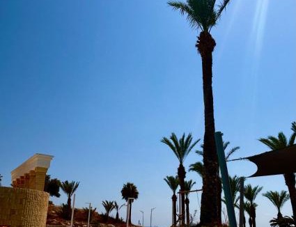 Chlorakas Apartment | Family Comfort Apartments