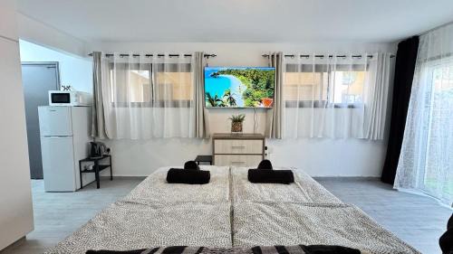 Chlorakas Apartment | Chloraka Bay Studio
