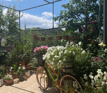 Kyperounta House | Vista Kyperounta - Mountain Getaway