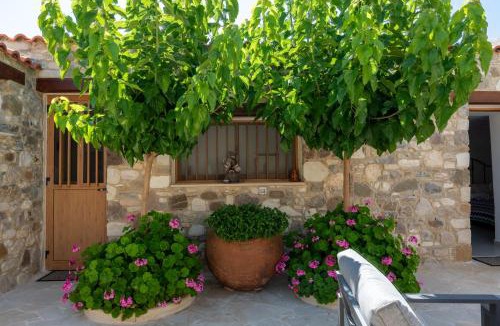 Vasa Koilaniou House | Sousannou Stone House, 3 Bedroom Mountain Escape with BBQ and Fireplace