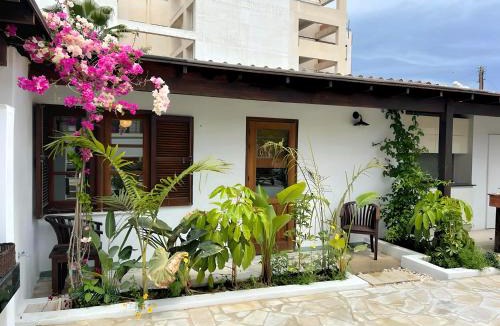Larnaca City Centre Hotel | The Colonial by M HOUSE