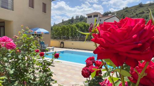 Kakopetria Villa | Kakopetria's Holiday House