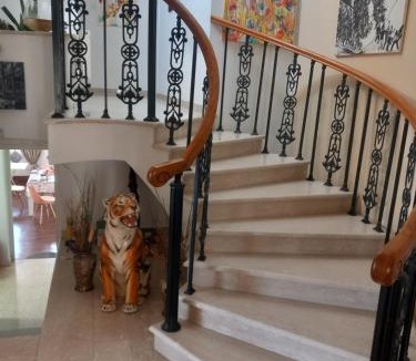 Dromolaxia House | Vasilis house