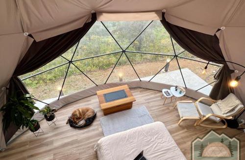 Vavatsinia Other | Dome in Nature