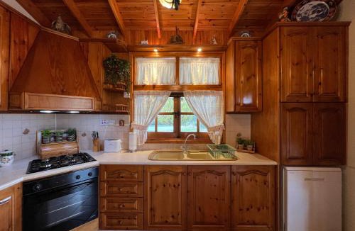 Vasa Koilaniou Ski Chalet | Kapilio Cottage House
