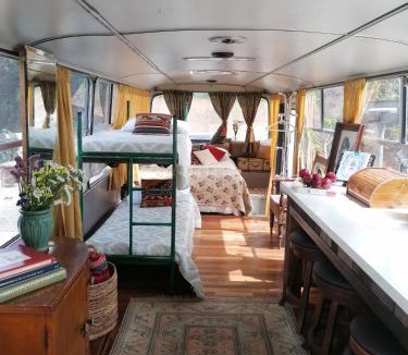 Akoursos Other | Green Bus unique & private 3 min from Coral Bay