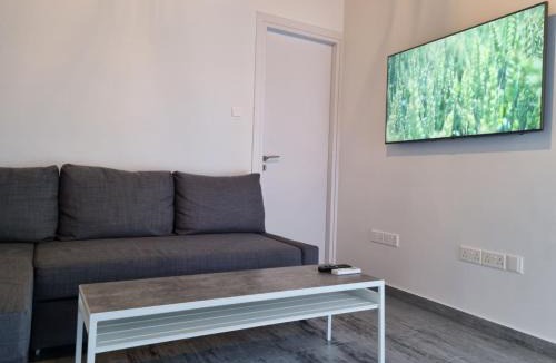 Agios Theodoros Apartment | Kamaroporta Luxury Apartments