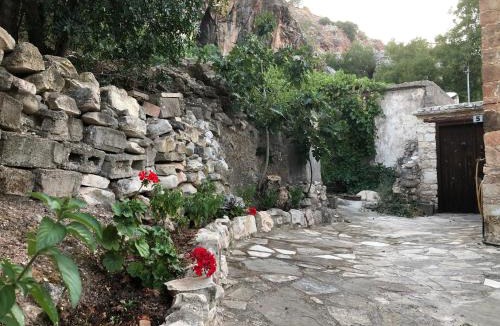 Episkopi Apartment | ANOI 1-bedroom country House