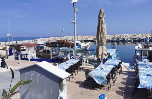 Latchi Hotel | Y & P LATCHI HOTEL
