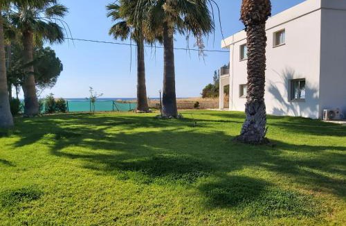 Argaka Apartment | Argaka Palm Tree Apts