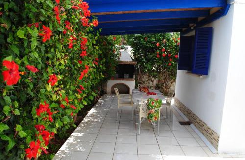 Latchi House | Villa Lachi
