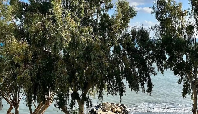 Amathus Modern Beachfront Flat in Limassol