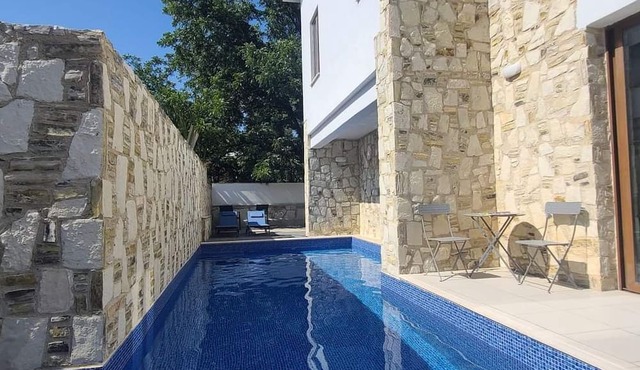 Olive Garden's Paradise Villa with private swim up pool and picturesque village. in SKARINOU
