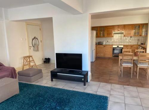 Spacious Central Nicosia Flat - Quiet & SafeArea in Nicosia