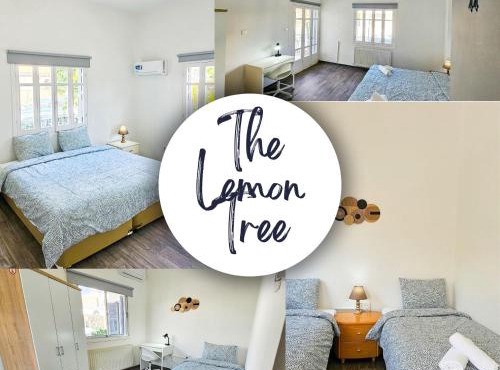 The Lemon Tree Hostel in Larnaca